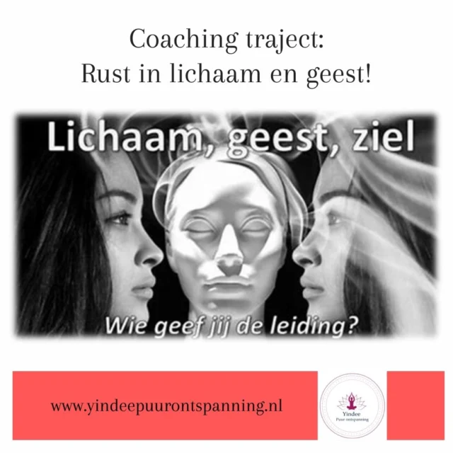 1:1 Coaching traject

Soms komt het punt dat je het gevoel hebt dat je vastzit en niet verder kunt. Dit was het geval voor Maaike, die al geruime tijd worstelde met het vinden van de juiste richting in haar leven. Door ons intensieve 1:1 coachingtraject ontdekte ze niet alleen wat haar passies waren, maar leerde ze ook hoe ze deze passies kon integreren in haar dagelijks leven. Ze heeft nu meer zelfvertrouwen, werkt doelgerichter en voelt zich verbonden met haar hogere doel. Als jij ook op zoek bent naar richting en groei, laten we samen werken aan het creëren van een leven dat bij jou past.