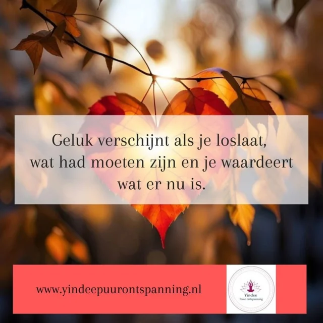 Instagram bericht 18125264995435669